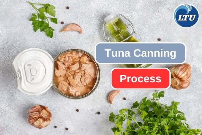 Take a Look at Canned Tuna Making Process